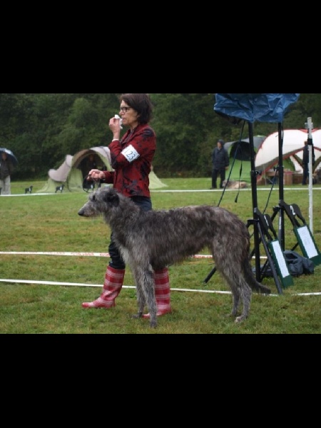 CH. Fair lady of Muma