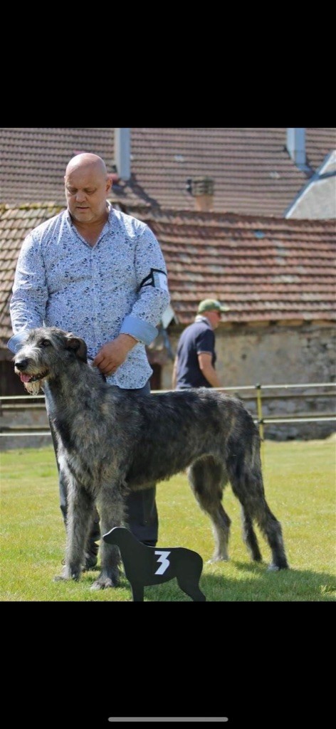Riley Du Domaine De Loch Ness